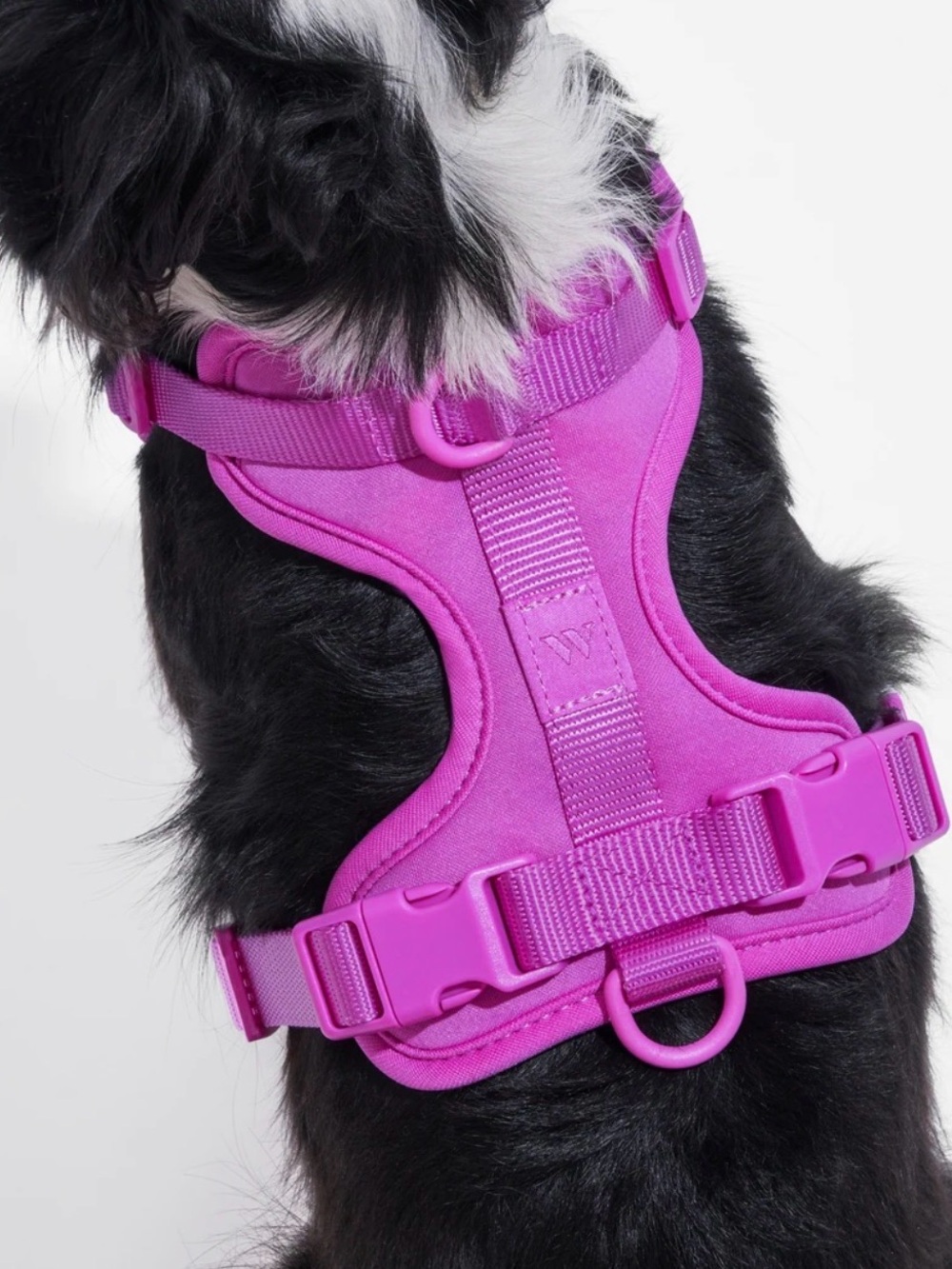 Wild One Cushioned Harness in Orchid - Medium